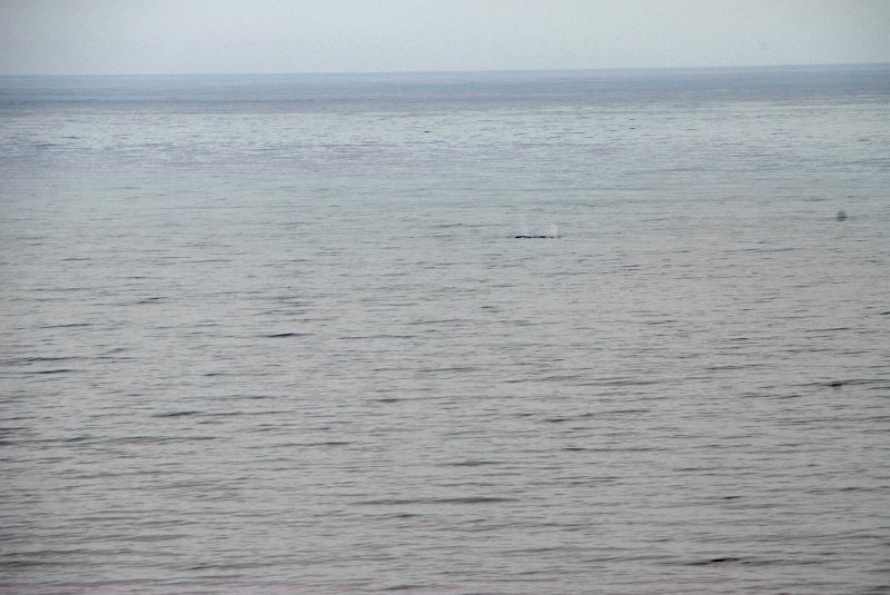 2011-07-23_Santa Barbara_Tag28_152.jpg